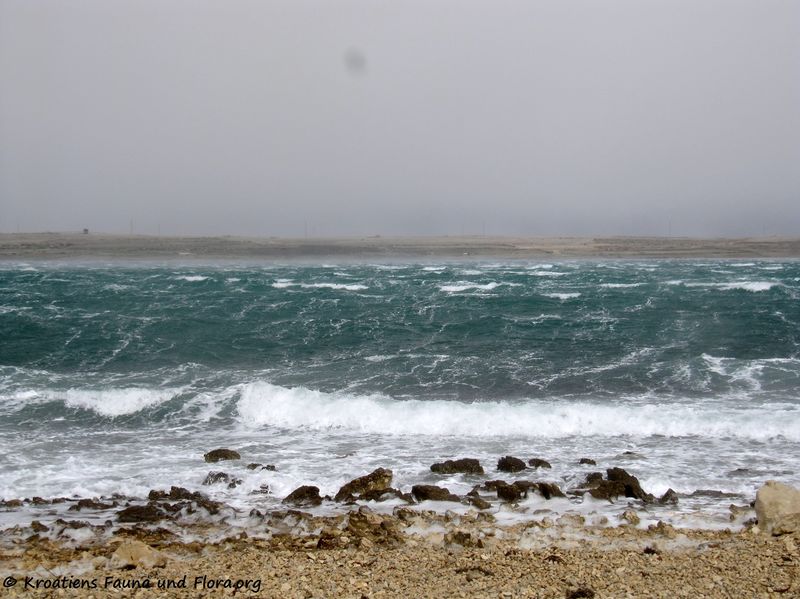 Datei:Salzbura 160323 8280.jpg