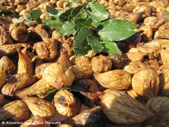 Getrocknete Feigen, Vir 09/2011