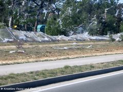 190224 0207 Zaton k.jpg