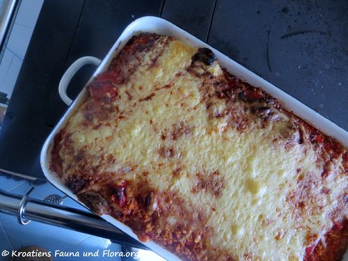 200308 306 Tarana k.jpg