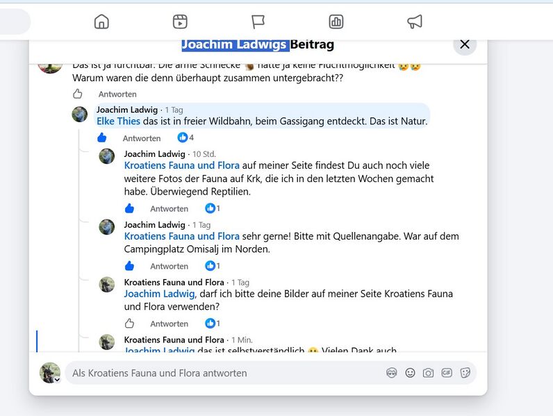 Datei:260512 Erlaubnis.jpg