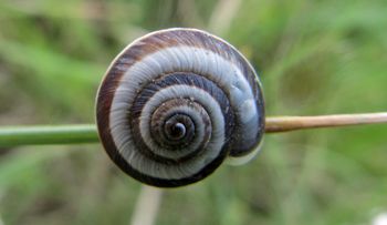 CernVir Priv 140427 2654.jpg