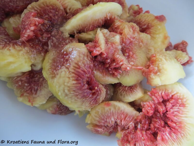 Datei:200830 1230.jpg