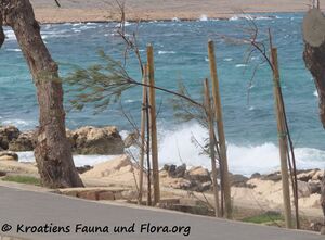 2301404 3752 Ražanac k.jpg