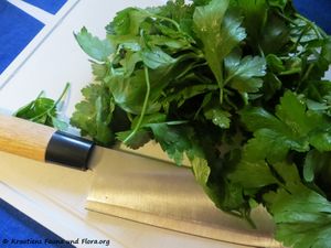 Petersilie 181220 15852 k.jpg