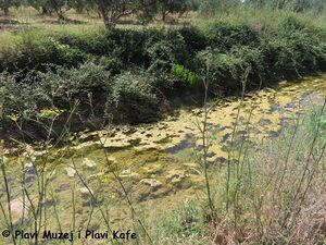 Mühle 230728 4236.JPG