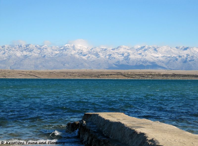 Datei:Winter141229 6548 Bura.jpg