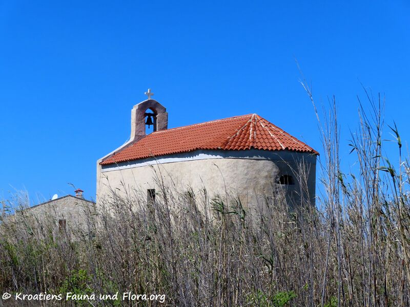 Datei:220417 2575.jpg