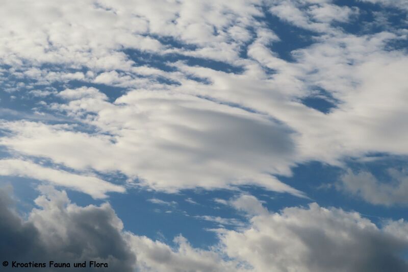 Datei:241222 4147.JPG