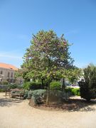 Habitus, Šibenik 04/2014