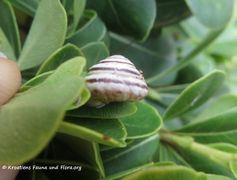 Zadar Flughafen 11/2018