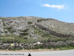 Steinmauern, 06/2014