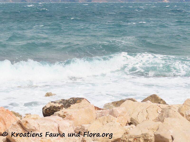 Datei:2301404 3727 Ražanac k.jpg