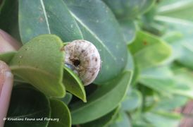 Zadar Flughafen 11/2018
