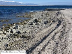 Der Kies am Strand wird hoch aufgetürmt