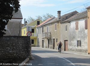 120531 806 Zaton txt.jpg