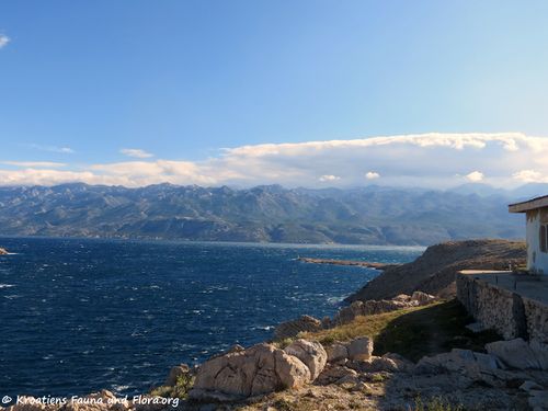 180626 14260 Paski most.JPG