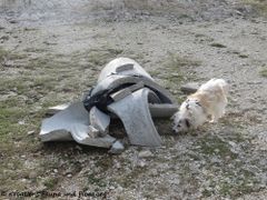 Eine der großen Mülltonne hat wohl irgendwem nicht gefallen