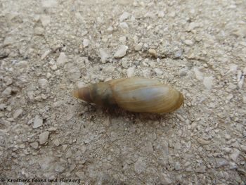 180416 12163 txt.jpg