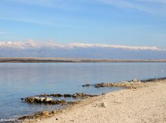 180302 11089 txt.jpg