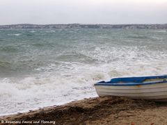 180321 11350 txt.jpg