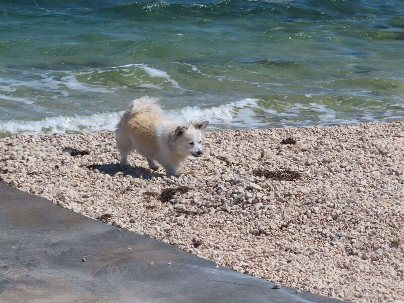 Datei:2 2604221 8538.JPG