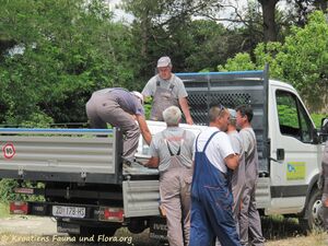 140530 3778 Vir Ribarnica Luka k.jpg