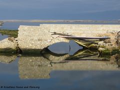 180127 10450 Gracija.jpg