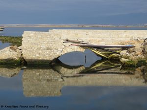 180127 10450 Gracija.jpg