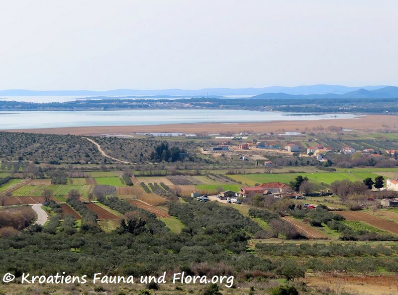 Datei:210308 1817 k.jpg