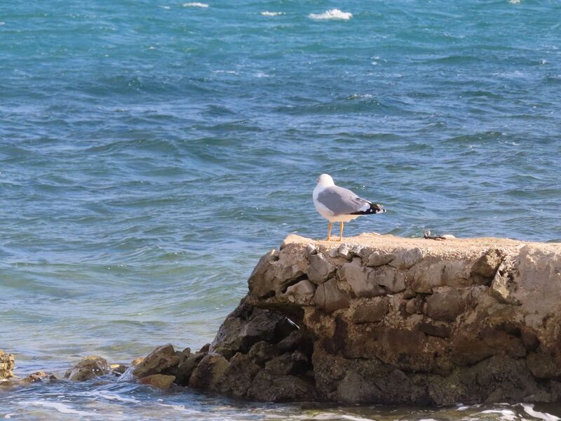 Datei:251118 6991.JPG