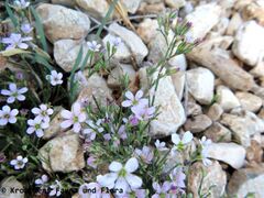 Vidikovac Kamenjak 09/2020