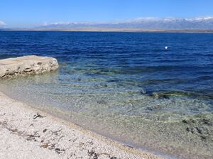 UNO World Oceans Day 10.jpg