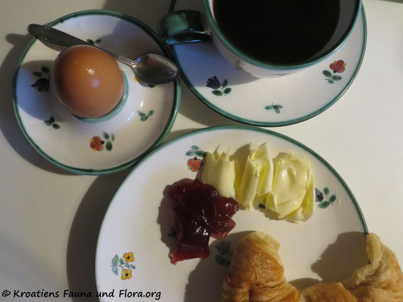 Datei:Frühstück 191122 2285.jpg