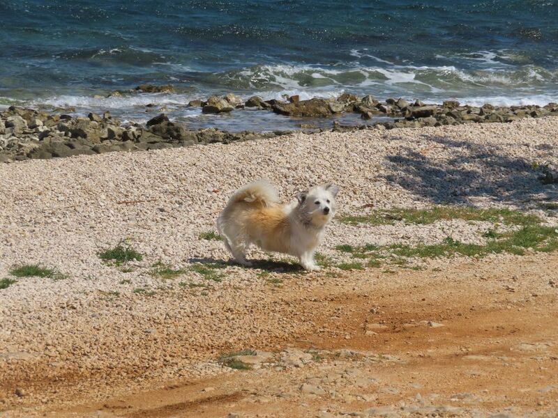 Datei:1 2604221 8533.JPG