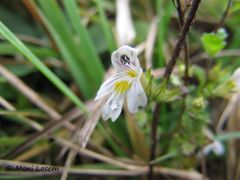 Windischgarsten 10/2015