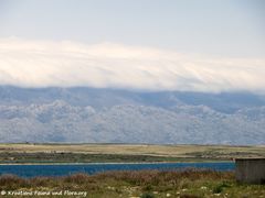 180417 12178 txt.jpg