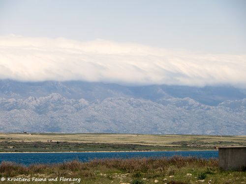 180417 12178 txt.jpg