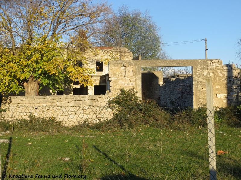 Datei:171127 10140 txt.jpg