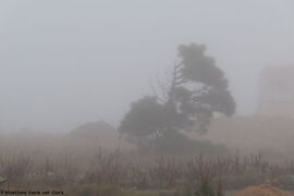 17.02.2024 - Wo bleibt sie denn?