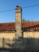 130926 4366 Bokanjac, OT Petrići.JPG