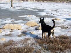 180227 Salziger Schaum 3.jpg