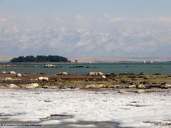 180227 Salziger Schaum 4.jpg