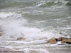 180321 11347 txt.jpg