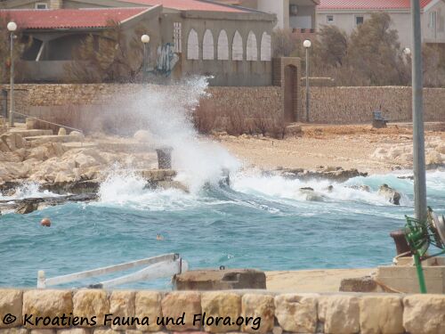 2301404 3722 Ražanac k.jpg