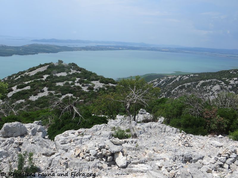 Datei:Karr 180605 14045.jpg