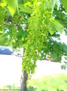 Odmorište Draganić 04/2018