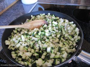 Zucchinireis 140309 0696 txt.jpg