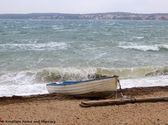 180321 11349 txt.jpg