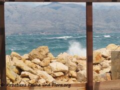 2301404 3724 Ražanac k.jpg